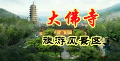 美欧一级大鸡巴插白屄视频中国浙江-新昌大佛寺旅游风景区
